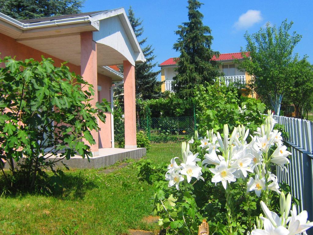 Feszek Apartmanhaz Vonyarcvashegy Ngoại thất bức ảnh