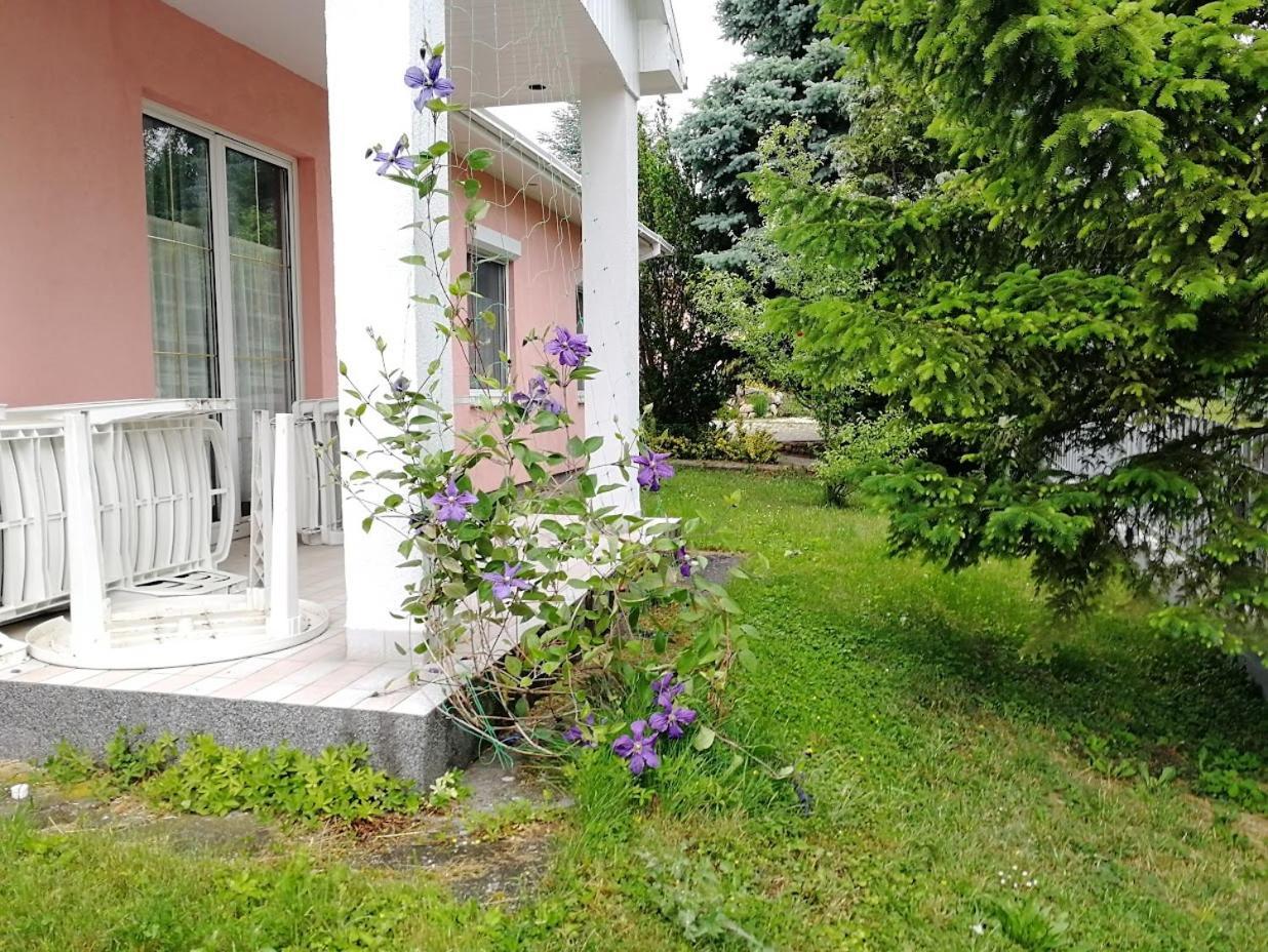 Feszek Apartmanhaz Vonyarcvashegy Ngoại thất bức ảnh